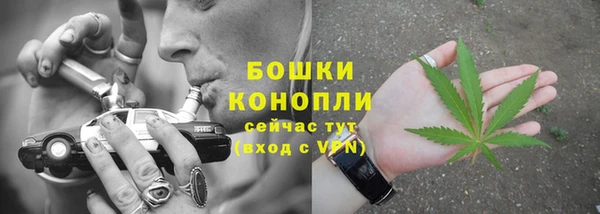 тгк Богородицк