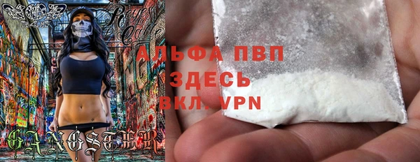 тгк Богородицк