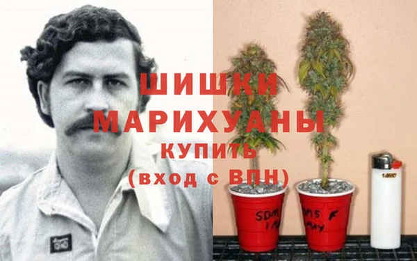 тгк Богородицк