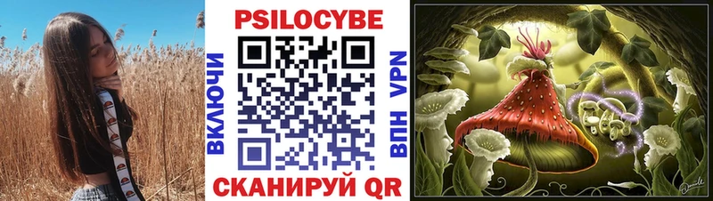 Галлюциногенные грибы Psilocybe  купить закладку  hydra ССЫЛКА  Михайловск 